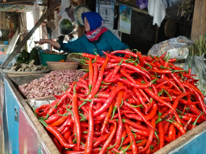 Awal Ramadan 2026 Harga Cabai Rawit di Pasuruan Tembus Harga Daging Sapi, Warga Mulai Kurangi Pembelian
