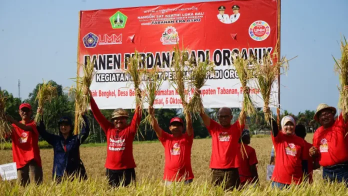 UMM Resmi Ditunjuk Jadi UNESCO Chair, Fokus pada Ekosistem Air Berkelanjutan