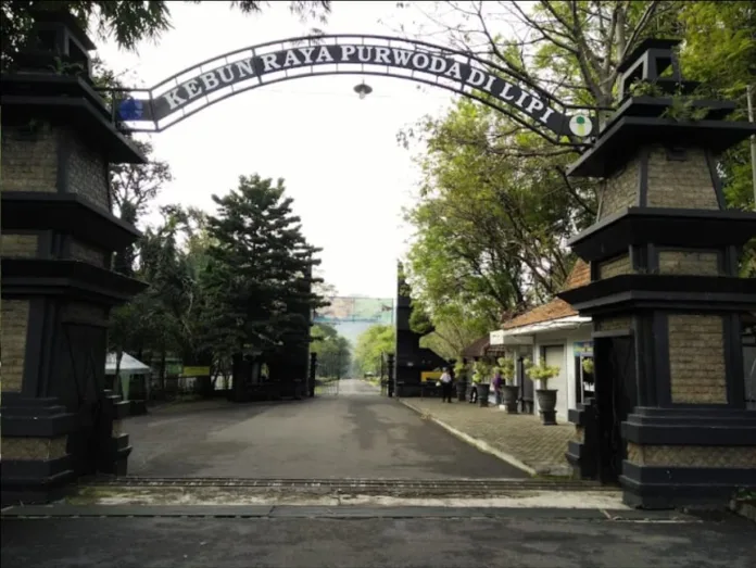 Menikmati Sejuknya Kebun Raya Purwodadi Pasuruan, Wisata Edukasi dengan Ribuan Tanaman Langka