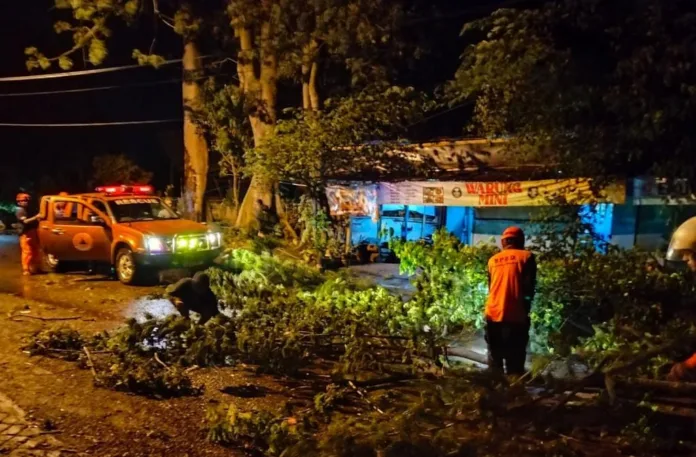 Cuaca Ekstrem Terjang Pasuruan, 24 Pohon Tumbang di 11 Kecamatan dan 16 Rumah Warga Rusak Cuaca Ekstrem Terjang Pasuruan, 24 Pohon Tumbang di 11 Kecamatan dan 16 Rumah Warga Rusak