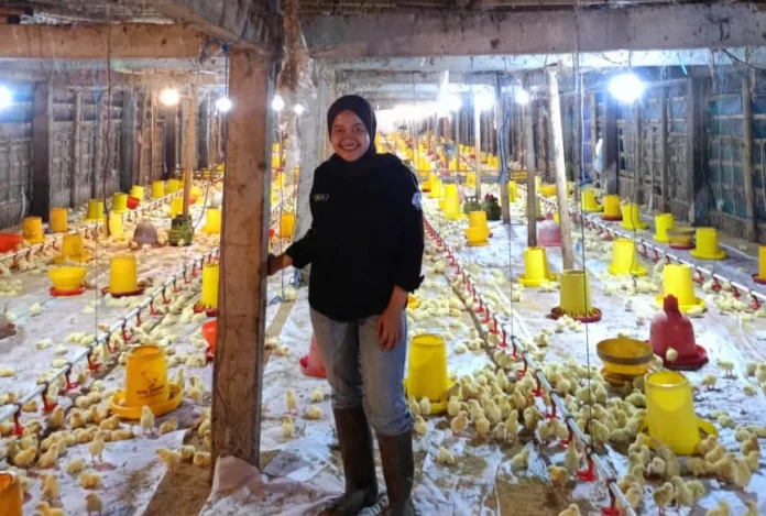 Lulusan Terbaik ITN Malang Gunakan Ilmu Teknik Industri untuk Optimalkan Peternakan Ayam Keluarga Lulusan Terbaik ITN Malang Gunakan Ilmu Teknik Industri untuk Optimalkan Peternakan Ayam Keluarga