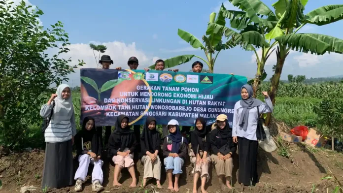 Manfaatkan Lahan Sawah, SMPI Islam Almaarif 01 Singosari Tanam Alpukat dan Durian Manfaatkan Lahan Sawah, SMPI Islam Almaarif 01 Singosari Tanam Alpukat dan Durian