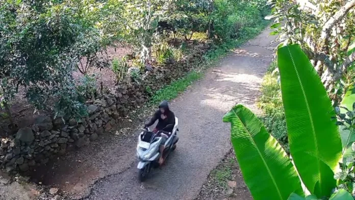 Guru SD di Pasuruan Jadi Korban Begal Saat Berangkat Mengajar, Motor PCX Raib di Jalan Sepi Guru SD di Pasuruan Jadi Korban Begal Saat Berangkat Mengajar, Motor PCX Raib di Jalan Sepi