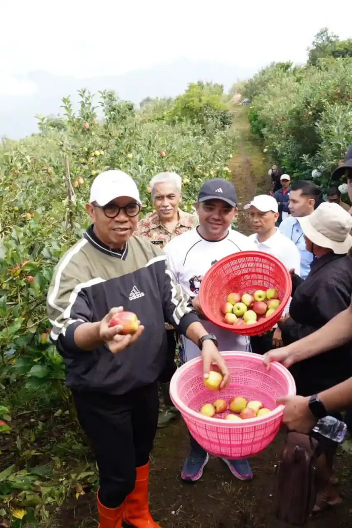 Cegah Kepunahan Ikon Kota; Pemkot Batu Luncurkan Strategi Revitalisasi Apel Melalui Sinergi Agrokreatif Cegah Kepunahan Ikon Kota; Pemkot Batu Luncurkan Strategi Revitalisasi Apel Melalui Sinergi Agrokreatif