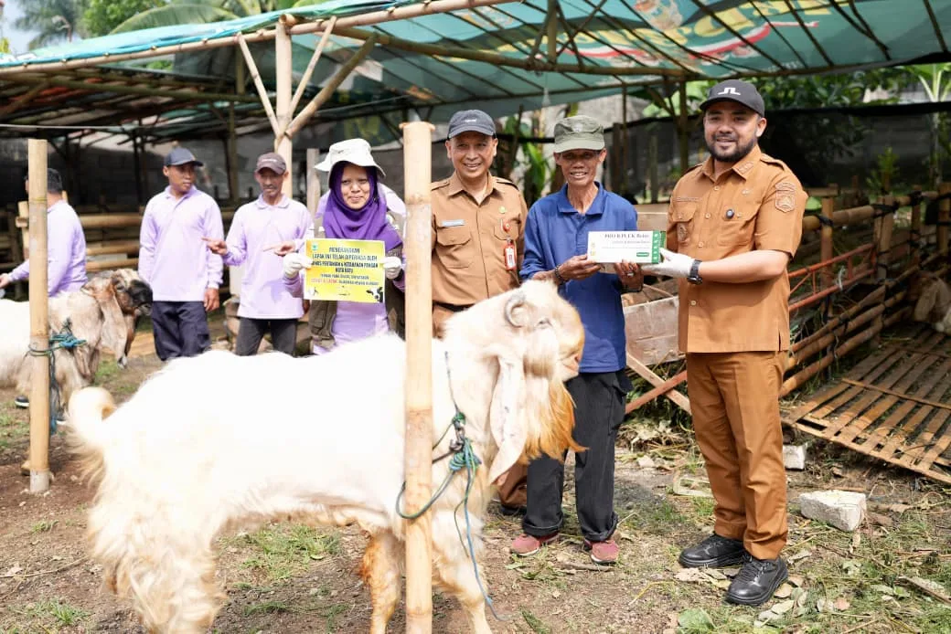 Pemkot Batu Garansi Hewan Kurban 1447 H Sehat dan Sesuai Syariat, Siap Salurkan Sapi 1,2 Ton dari Presiden Pemkot Batu Garansi Hewan Kurban 1447 H Sehat dan Sesuai Syariat, Siap Salurkan Sapi 1,2 Ton dari Presiden