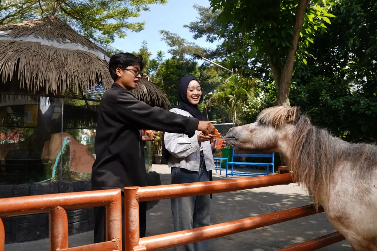 Feeding Satwa Batu Ekonomis Park, Edukasi Satwa Interaktif yang Seru dan Ramah di Kansatwa.