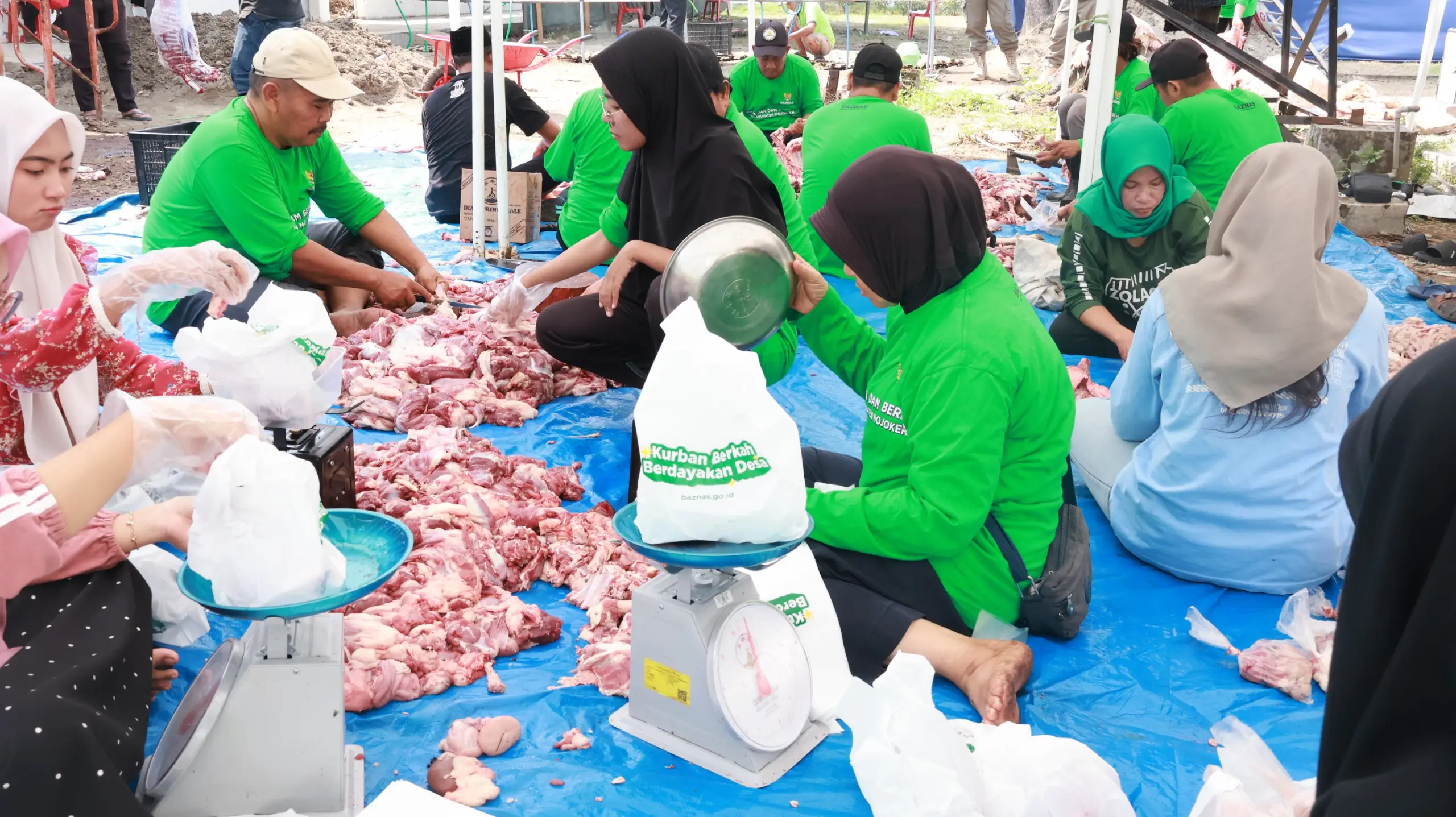 BAZNAS Kabupaten Mojokerto Salurkan 3.621 Paket Daging, Perkuat Pemberdayaan Peternak Lokal
