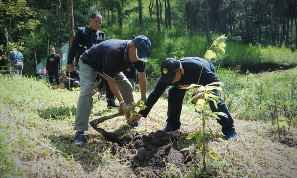 UMM Sukses Hidupkan Mata Air di Pujon Hill, Ribuan Warga Kini Nikmati Air Bersih UMM Sukses Hidupkan Mata Air di Pujon Hill, Ribuan Warga Kini Nikmati Air Bersih