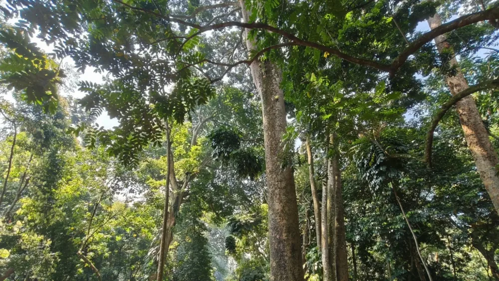 Jabodetabek
