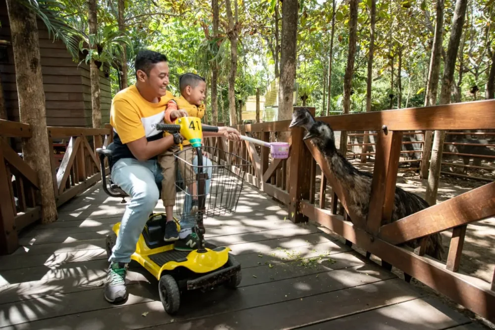 Eco Active Park