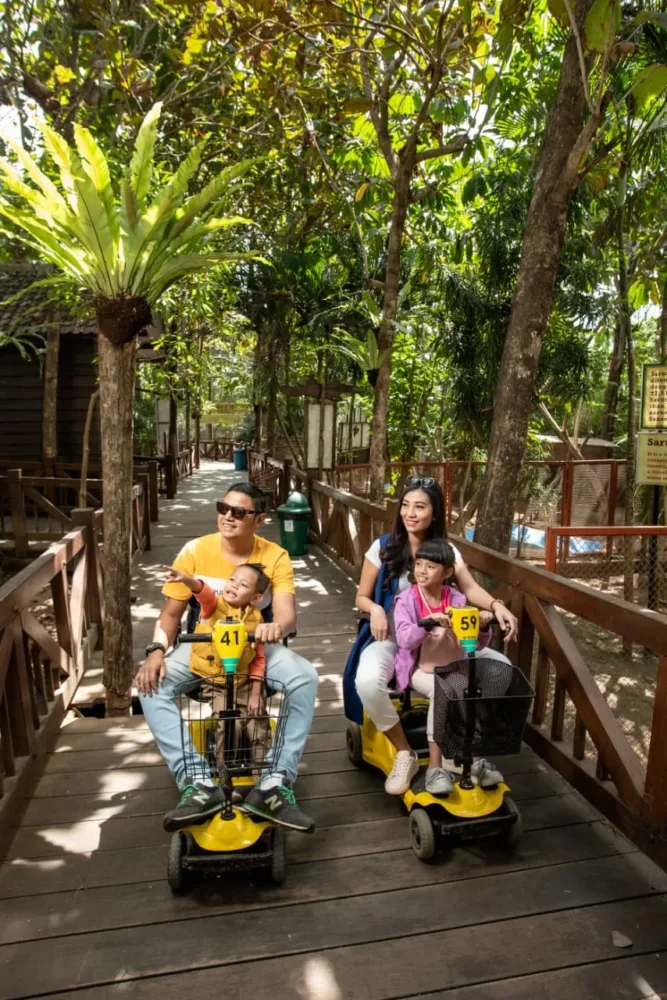 Eco Active Park