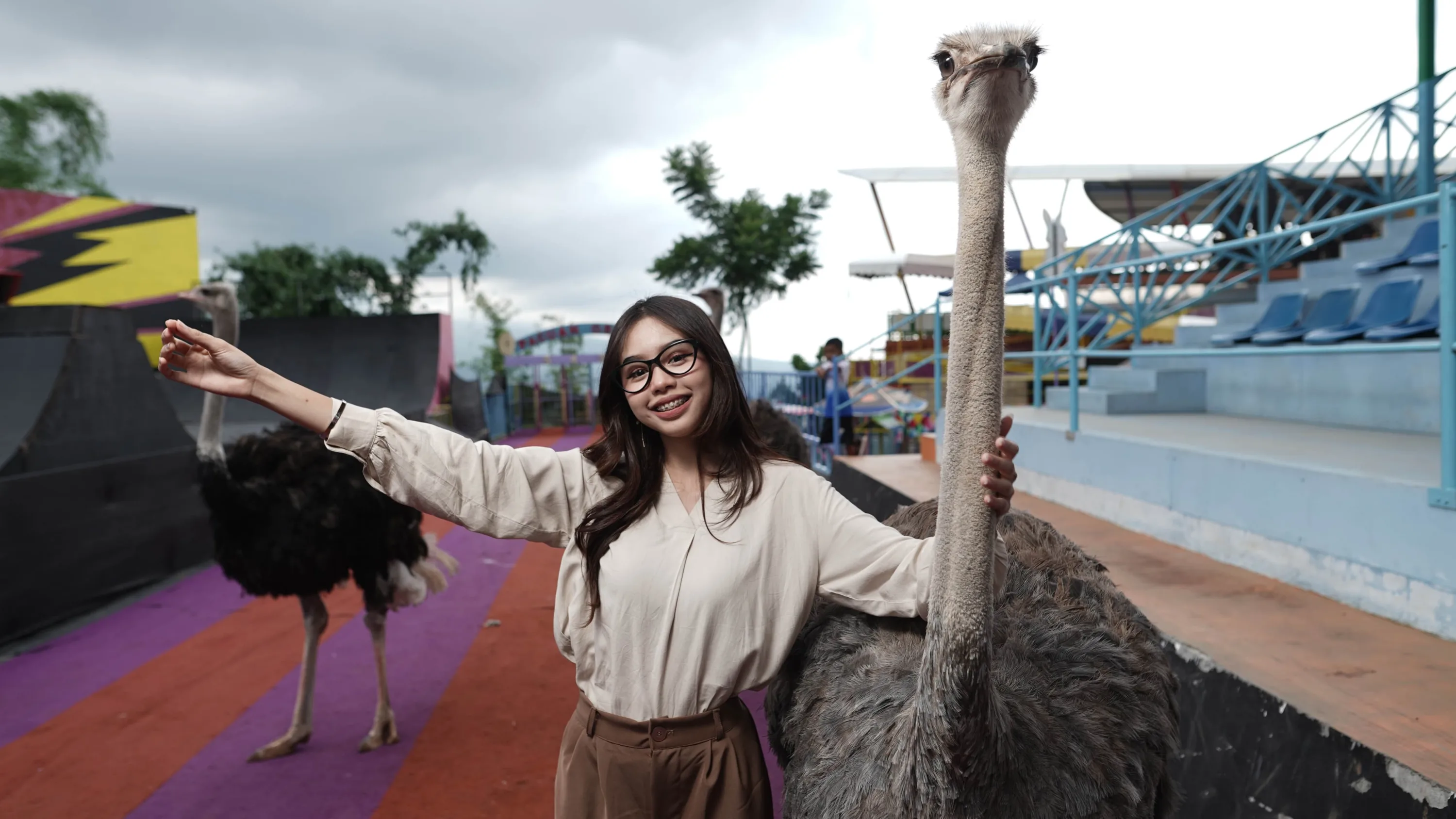 Bukan Sekadar Safari, Ini Pengalaman yang Bisa Didapat di Drive Thru Park, Rekomendasi Wisata di Batu yang Anti Capek