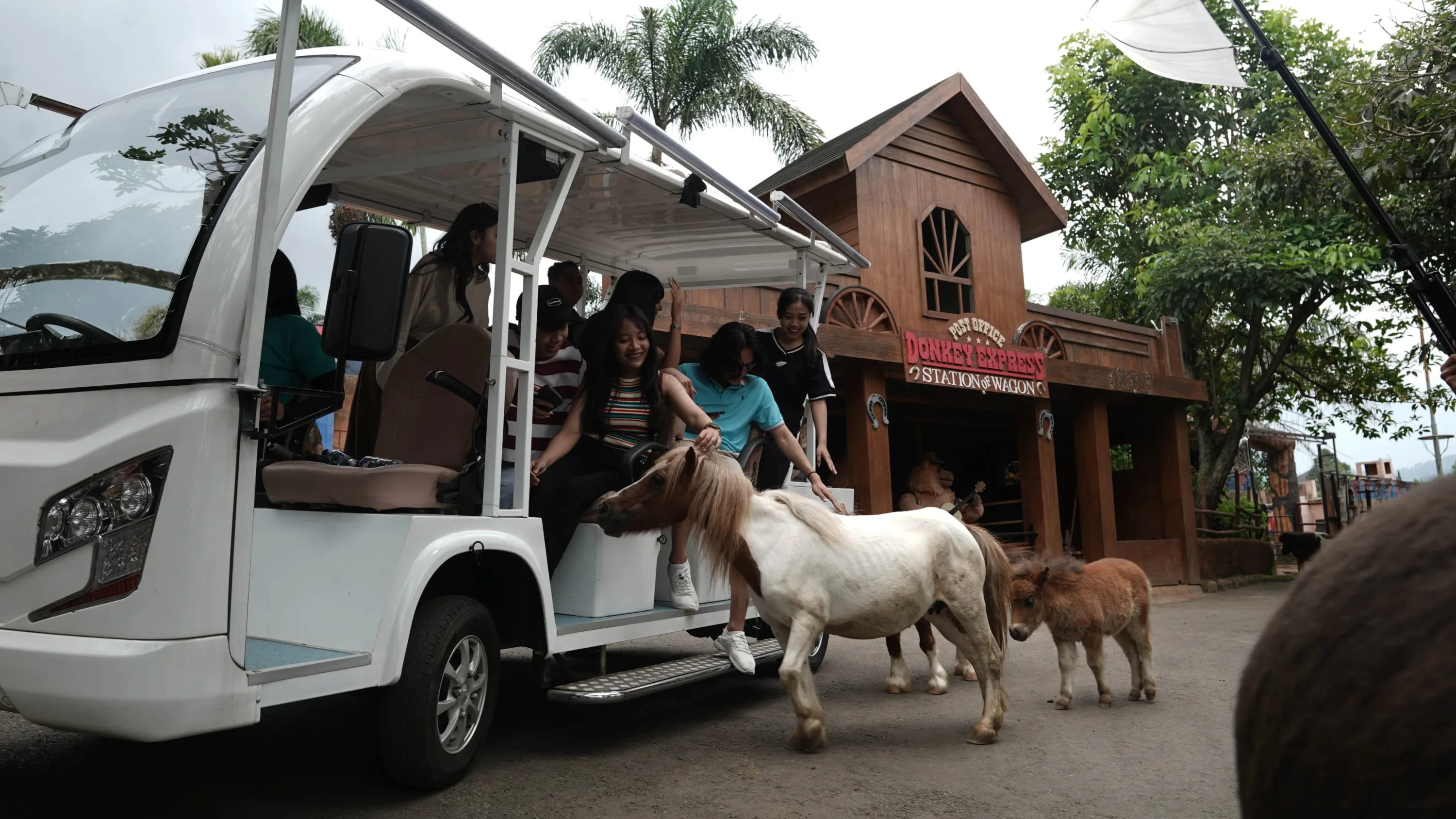 Drive Thru Park