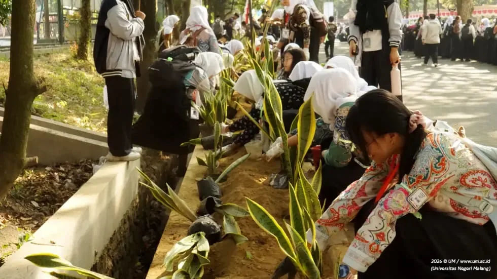 Hijaukan Kampus Sejak Hari Pertama: 13 Ribu Mahasiswa Baru UM Serentak Tanam Sansevieria Hijaukan Kampus Sejak Hari Pertama: 13 Ribu Mahasiswa Baru UM Serentak Tanam Sansevieria